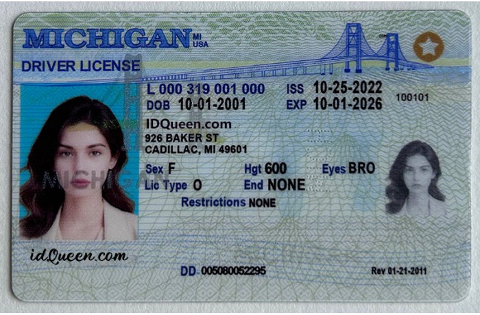 Michigan IDs
